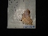  ( - MAL-02918)  @12 [ ] Unspecified (default): All Rights Reserved  Unspecified Unspecified