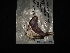  ( - MAL-02919)  @12 [ ] Unspecified (default): All Rights Reserved  Unspecified Unspecified