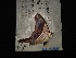  ( - MAL-02920)  @12 [ ] Unspecified (default): All Rights Reserved  Unspecified Unspecified