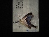  ( - MAL-02921)  @12 [ ] Unspecified (default): All Rights Reserved  Unspecified Unspecified