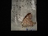  ( - MAL-02922)  @12 [ ] Unspecified (default): All Rights Reserved  Unspecified Unspecified