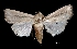  ( - MAL-03009)  @13 [ ] Unspecified (default): All Rights Reserved  Unspecified Unspecified