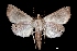  ( - MAL-03022)  @12 [ ] Unspecified (default): All Rights Reserved  Unspecified Unspecified