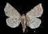  ( - MAL-03026)  @13 [ ] Unspecified (default): All Rights Reserved  Unspecified Unspecified