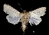  ( - MAL-03037)  @12 [ ] Unspecified (default): All Rights Reserved  Unspecified Unspecified
