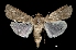  ( - MAL-03046)  @14 [ ] Unspecified (default): All Rights Reserved  Unspecified Unspecified