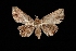  ( - MAL-03096)  @14 [ ] Unspecified (default): All Rights Reserved  Unspecified Unspecified