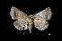  ( - MAL-03108)  @13 [ ] Unspecified (default): All Rights Reserved  Unspecified Unspecified