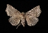  ( - MAL-03088)  @14 [ ] Unspecified (default): All Rights Reserved  Unspecified Unspecified