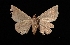  ( - MAL-03070)  @13 [ ] Unspecified (default): All Rights Reserved  Unspecified Unspecified