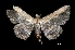  ( - MAL-01219)  @13 [ ] Unspecified (default): All Rights Reserved  Unspecified Unspecified