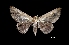  ( - MAL-01222)  @13 [ ] Unspecified (default): All Rights Reserved  Unspecified Unspecified
