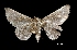  ( - MAL-01222)  @13 [ ] Unspecified (default): All Rights Reserved  Unspecified Unspecified