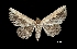  ( - MAL-01224)  @14 [ ] Unspecified (default): All Rights Reserved  Unspecified Unspecified