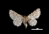  ( - MAL-01224)  @14 [ ] Unspecified (default): All Rights Reserved  Unspecified Unspecified