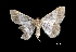 ( - MAL-01252)  @12 [ ] Unspecified (default): All Rights Reserved  Unspecified Unspecified