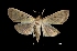 ( - MAL-01264)  @13 [ ] Unspecified (default): All Rights Reserved  Unspecified Unspecified