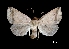  ( - MAL-01270)  @14 [ ] Unspecified (default): All Rights Reserved  Unspecified Unspecified