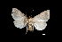  ( - MAL-01270)  @12 [ ] Unspecified (default): All Rights Reserved  Unspecified Unspecified
