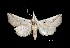  ( - MAL-01281)  @12 [ ] Unspecified (default): All Rights Reserved  Unspecified Unspecified
