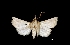  ( - MAL-01281)  @12 [ ] Unspecified (default): All Rights Reserved  Unspecified Unspecified