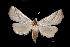  ( - MAL-01282)  @13 [ ] Unspecified (default): All Rights Reserved  Unspecified Unspecified