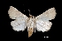  ( - MAL-01282)  @12 [ ] Unspecified (default): All Rights Reserved  Unspecified Unspecified