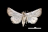  ( - MAL-01283)  @13 [ ] Unspecified (default): All Rights Reserved  Unspecified Unspecified