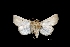  ( - MAL-01283)  @12 [ ] Unspecified (default): All Rights Reserved  Unspecified Unspecified