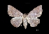  ( - MAL-01301)  @13 [ ] Unspecified (default): All Rights Reserved  Unspecified Unspecified
