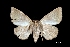  ( - MAL-01301)  @13 [ ] Unspecified (default): All Rights Reserved  Unspecified Unspecified