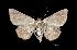  ( - MAL-01302)  @12 [ ] Unspecified (default): All Rights Reserved  Unspecified Unspecified