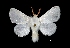  ( - MAL-01329)  @14 [ ] Unspecified (default): All Rights Reserved  Unspecified Unspecified