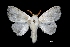  ( - MAL-01331)  @14 [ ] Unspecified (default): All Rights Reserved  Unspecified Unspecified