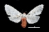  ( - MAL-01337)  @14 [ ] Unspecified (default): All Rights Reserved  Unspecified Unspecified