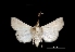  ( - MAL-01345)  @12 [ ] Unspecified (default): All Rights Reserved  Unspecified Unspecified