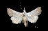 ( - MAL-01346)  @13 [ ] Unspecified (default): All Rights Reserved  Unspecified Unspecified