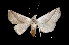  ( - MAL-01347)  @13 [ ] Unspecified (default): All Rights Reserved  Unspecified Unspecified