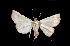 ( - MAL-01347)  @12 [ ] Unspecified (default): All Rights Reserved  Unspecified Unspecified