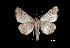  ( - MAL-01385)  @13 [ ] Unspecified (default): All Rights Reserved  Unspecified Unspecified