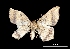  ( - MAL-01390)  @13 [ ] Unspecified (default): All Rights Reserved  Unspecified Unspecified