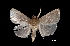  ( - MAL-01391)  @12 [ ] Unspecified (default): All Rights Reserved  Unspecified Unspecified