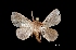  ( - MAL-01393)  @12 [ ] Unspecified (default): All Rights Reserved  Unspecified Unspecified