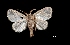  ( - MAL-01407)  @12 [ ] Unspecified (default): All Rights Reserved  Unspecified Unspecified
