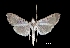  ( - MAL-01417)  @13 [ ] Unspecified (default): All Rights Reserved  Unspecified Unspecified