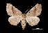  ( - MAL-01481)  @13 [ ] Unspecified (default): All Rights Reserved  Unspecified Unspecified