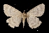  ( - MAL-01503)  @13 [ ] Unspecified (default): All Rights Reserved  Unspecified Unspecified