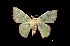  ( - MAL-01631)  @13 [ ] Unspecified (default): All Rights Reserved  Unspecified Unspecified