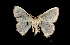  ( - MAL-01638)  @13 [ ] Unspecified (default): All Rights Reserved  Unspecified Unspecified