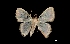  ( - MAL-01639)  @13 [ ] Unspecified (default): All Rights Reserved  Unspecified Unspecified